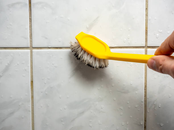 Best Best Mold Removal Companies  in Beechwood, MS