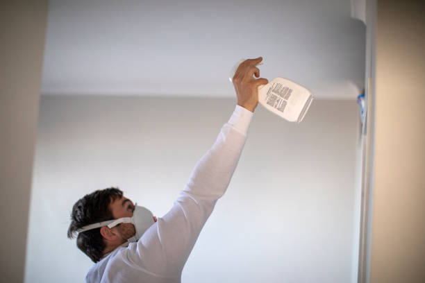 Mold Removal and Inspection in Beechwood, MS
