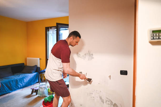 Best Affordable Mold Removal  in Beechwood, MS